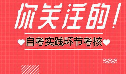 广东自考课程实践考核如何考？考试形式是？