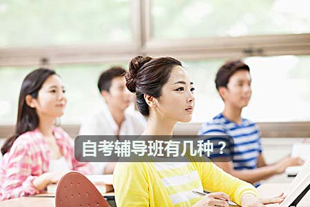 自考辅导班有几种？