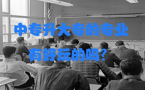 中专升大专的专业有好玩的吗？