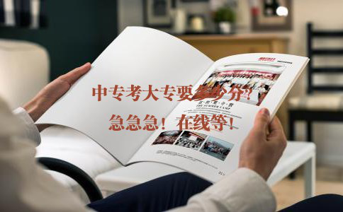 中专考大专要多少分？急急急！在线等！