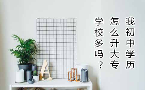我初中学历怎么升大专，学校多吗？