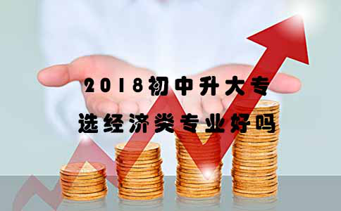 2018初中升大专选经济类专业好吗？